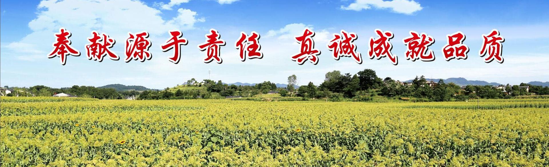 顶部视频图片
